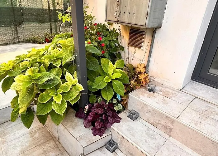 Apartament Casa Semi 整套公寓