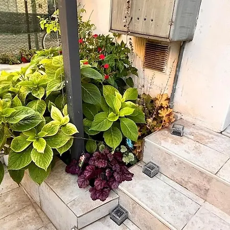 Apartment Casa Semi 整套公寓